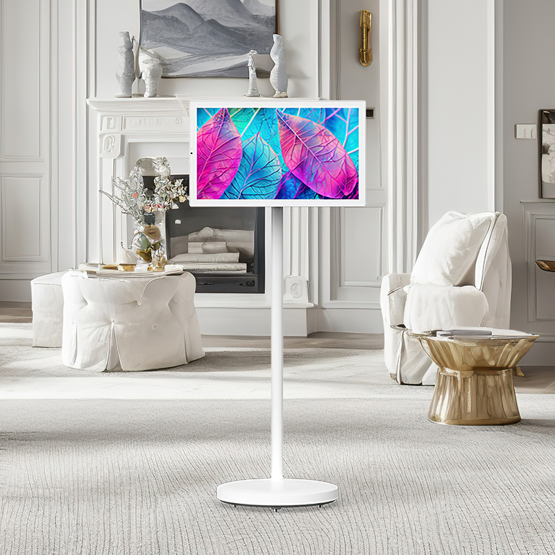 Portable monitor screen (6)