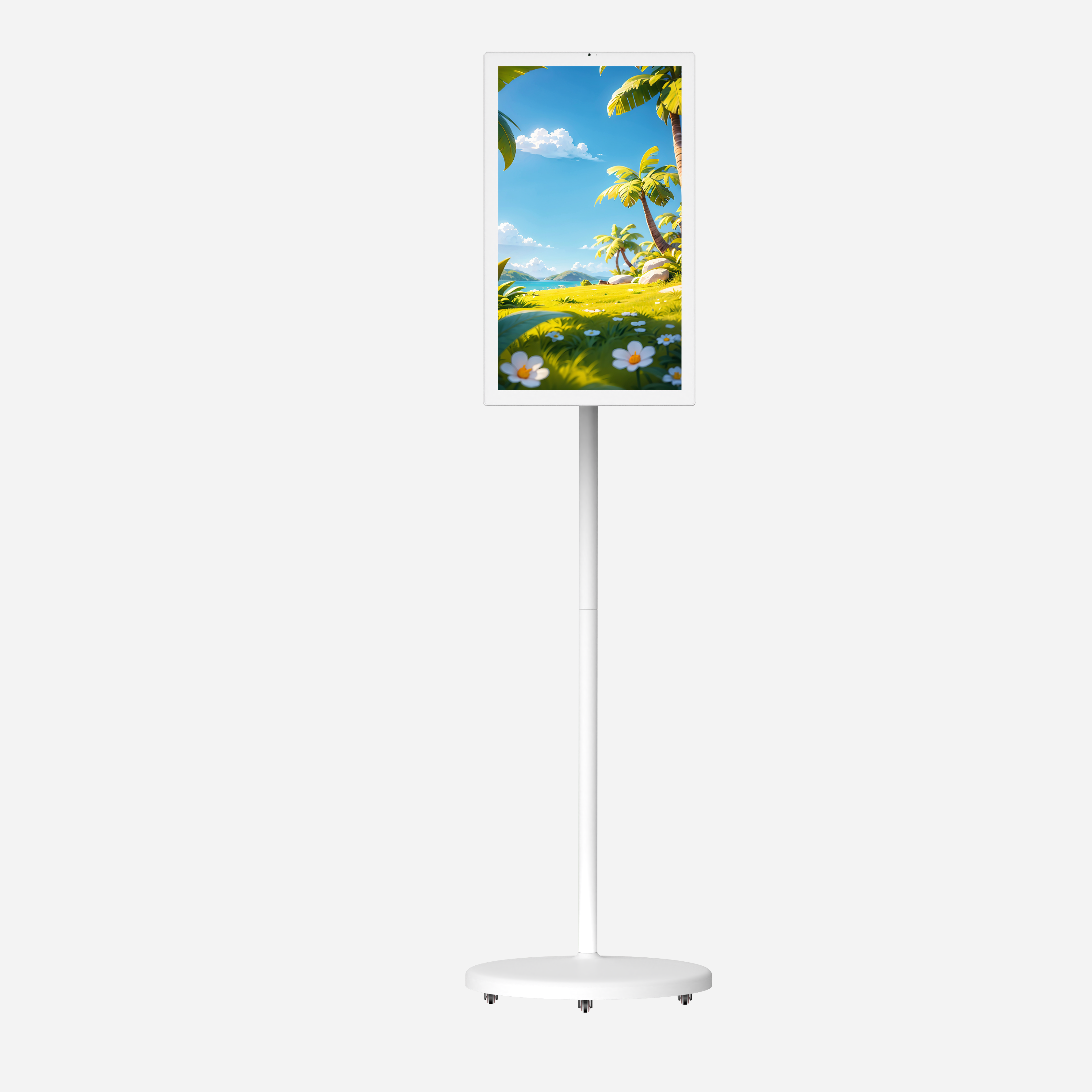 digital portable monitor (2)