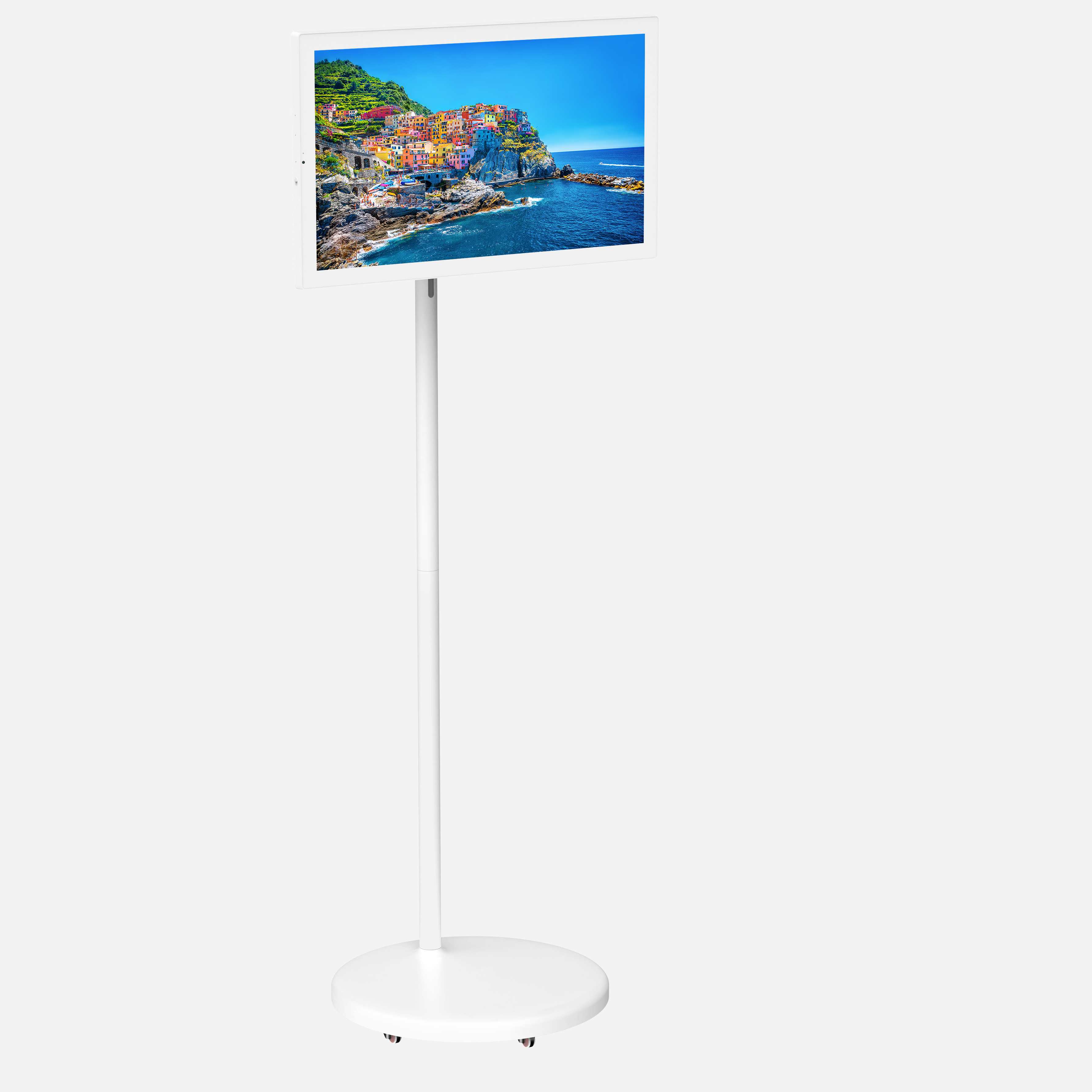 digital portable monitor (4)