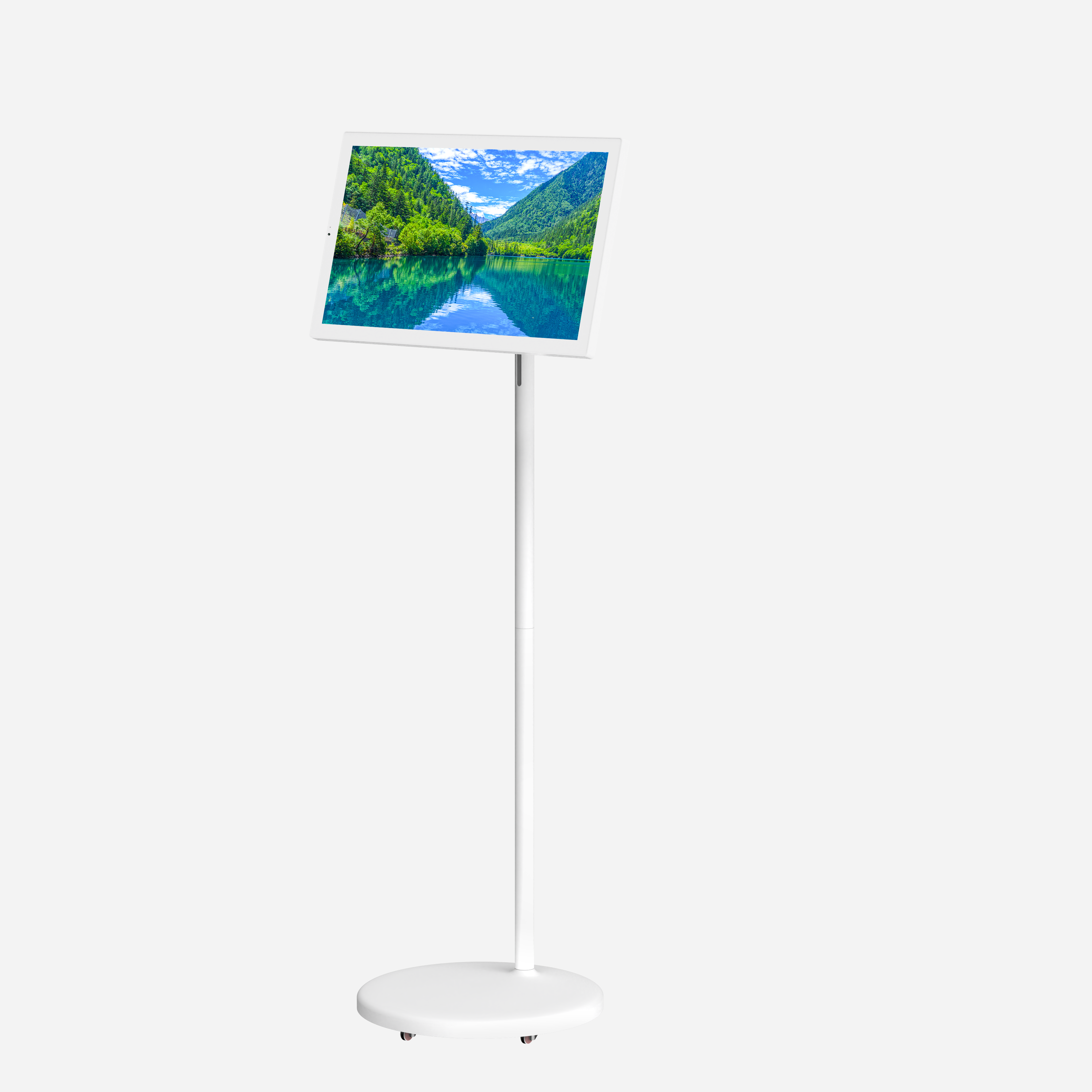 digital portable monitor (6)