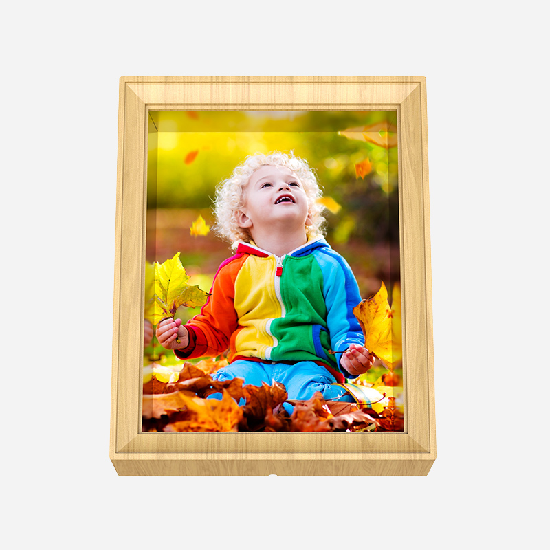 3D digital photo frame (5)