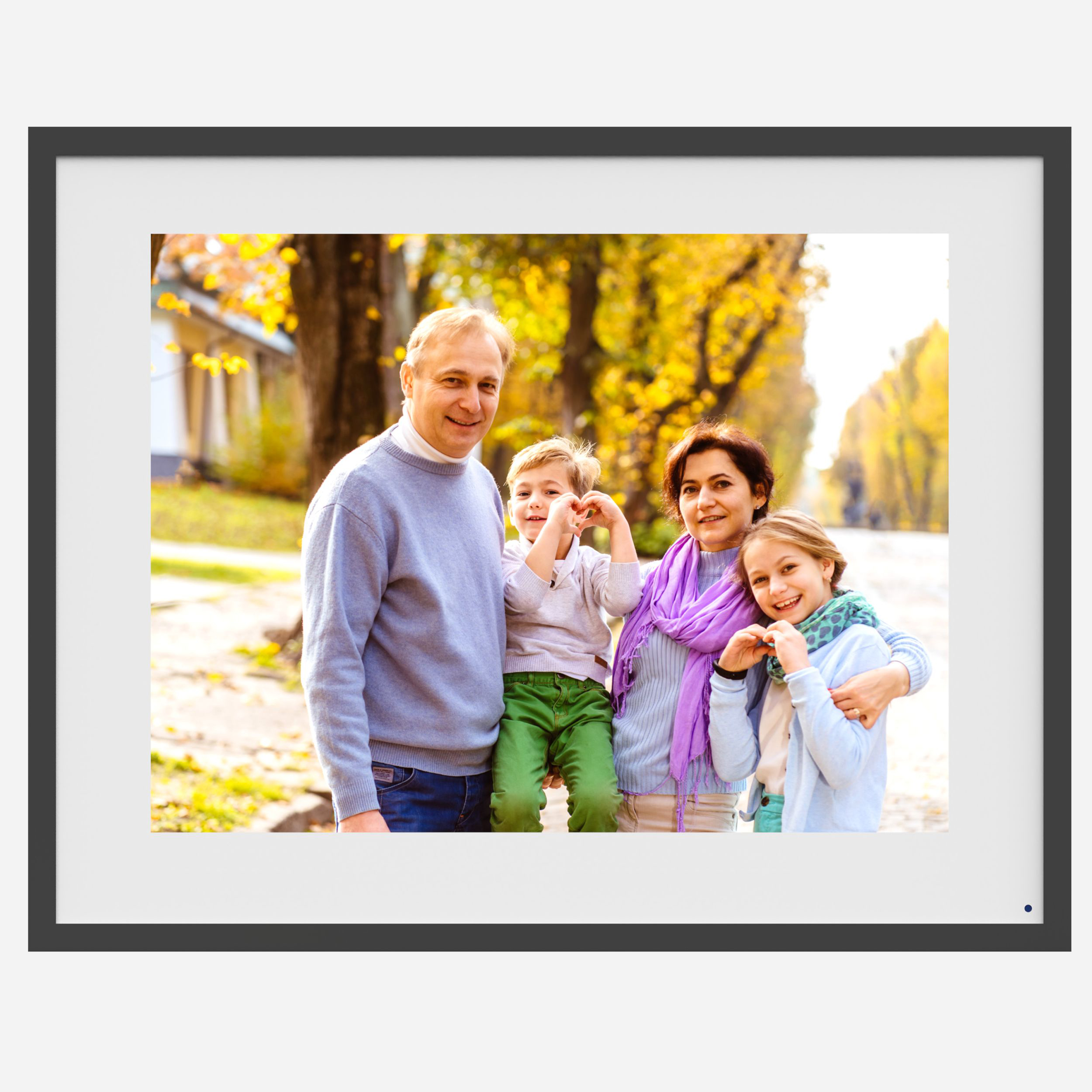 digital photo frame (1)
