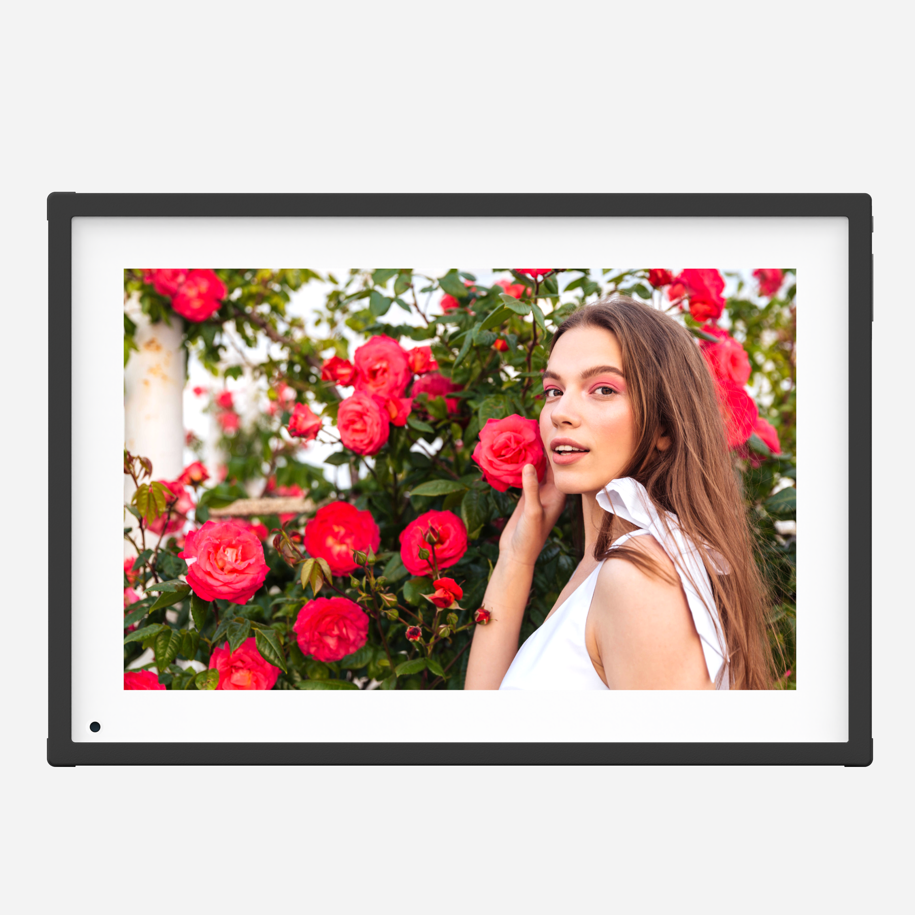 digital photo frame (1)