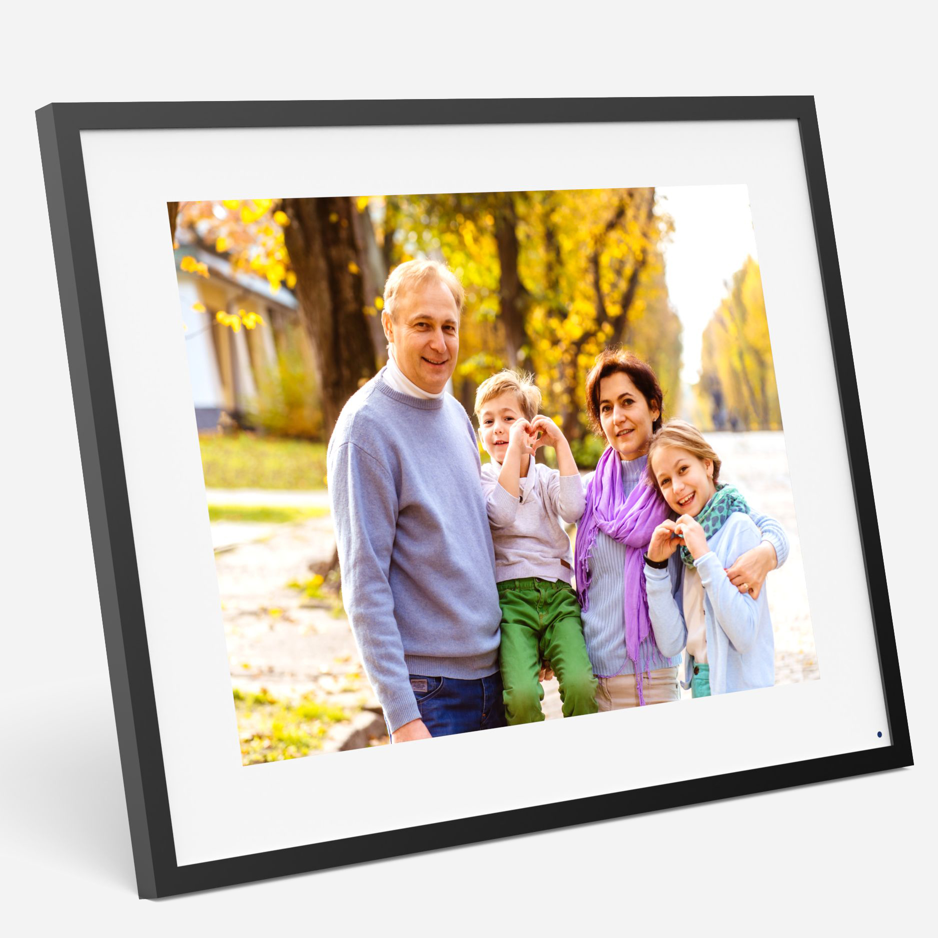 digital photo frame (2)
