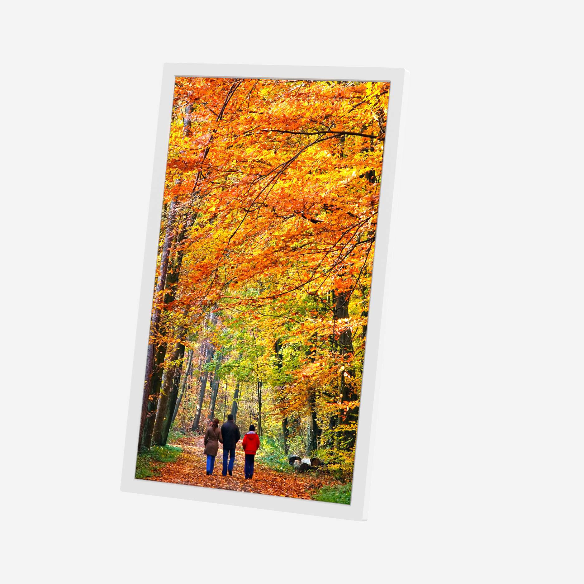 picture frame (3)